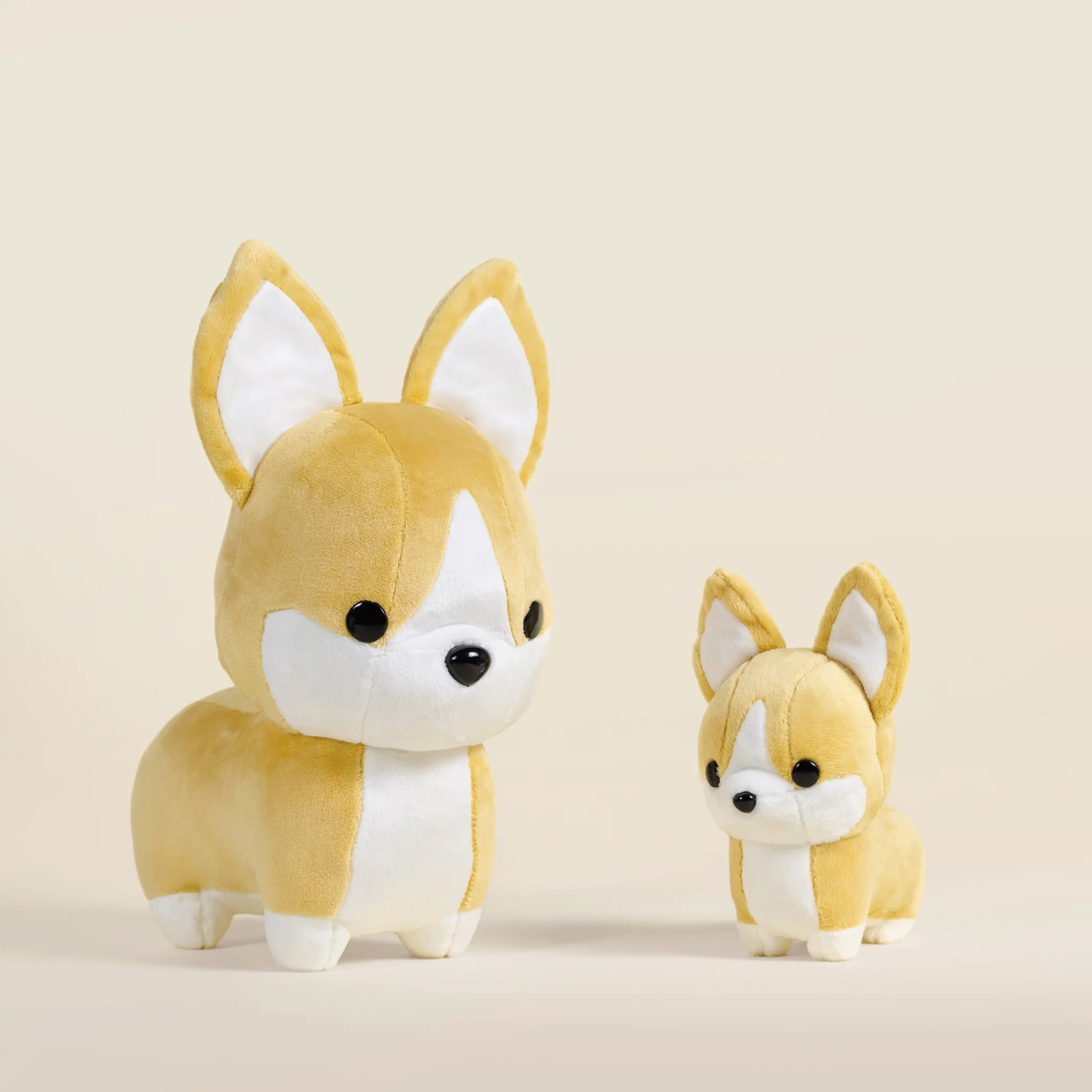 Mini Corgi the Dog - Image 9