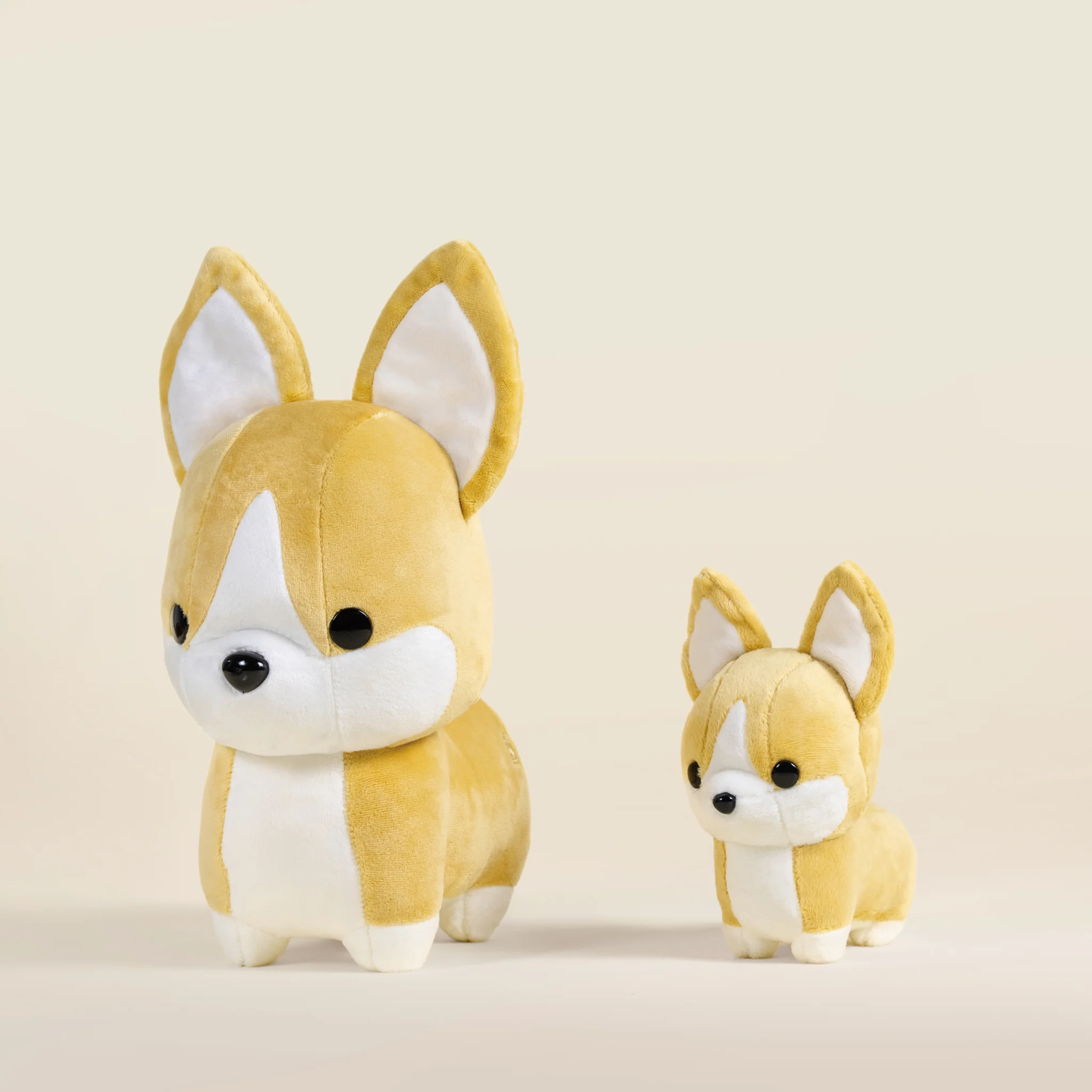 Corgi the Dog - Image 10