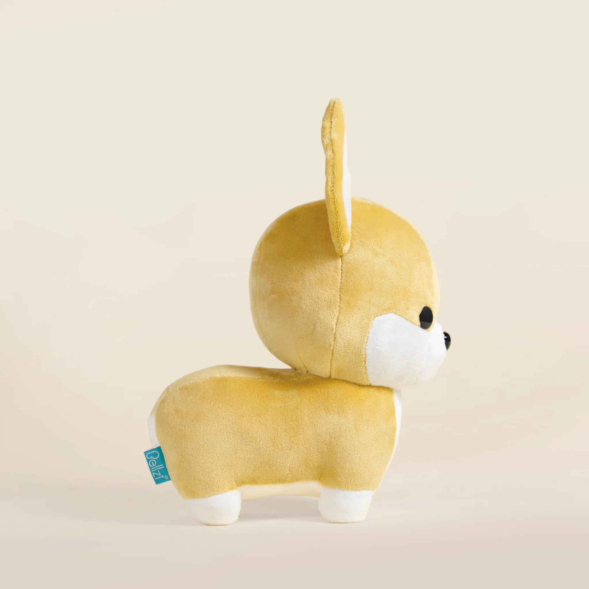 Corgi the Dog - Image 4