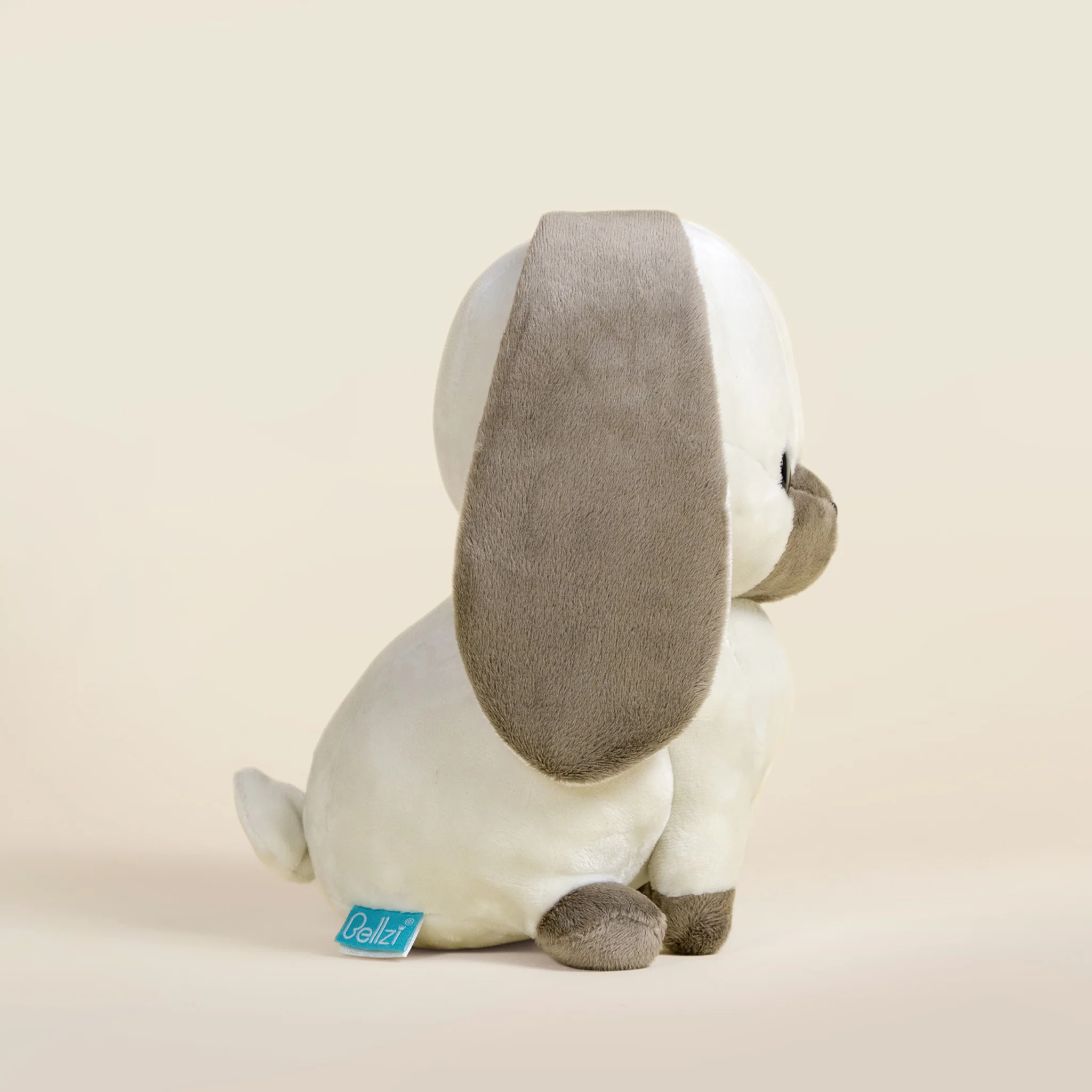 Lop Bunni the Lop Eared Rabbit - Image 4