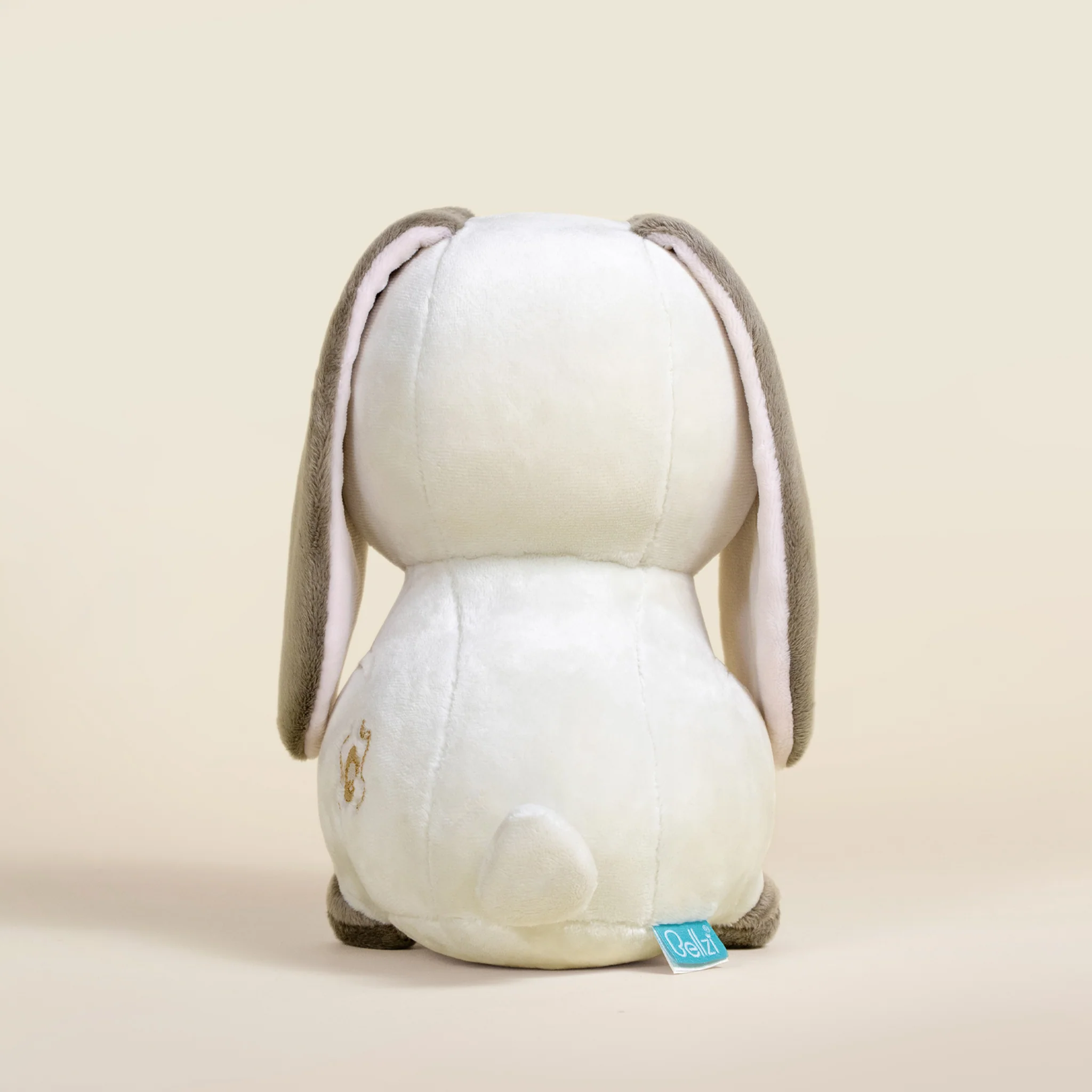 Lop Bunni the Lop Eared Rabbit - Image 6