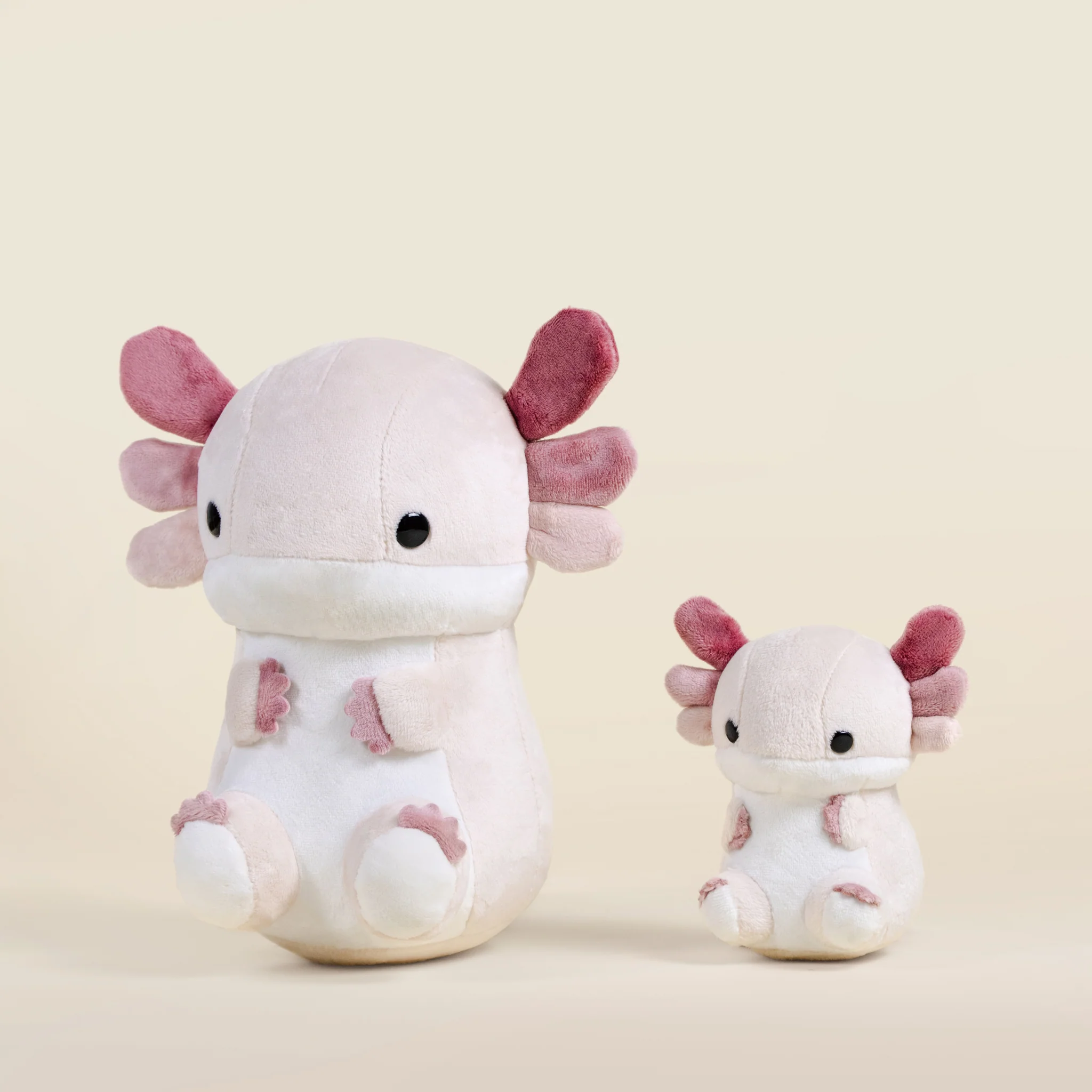 Lotti the Axolotl - Image 11