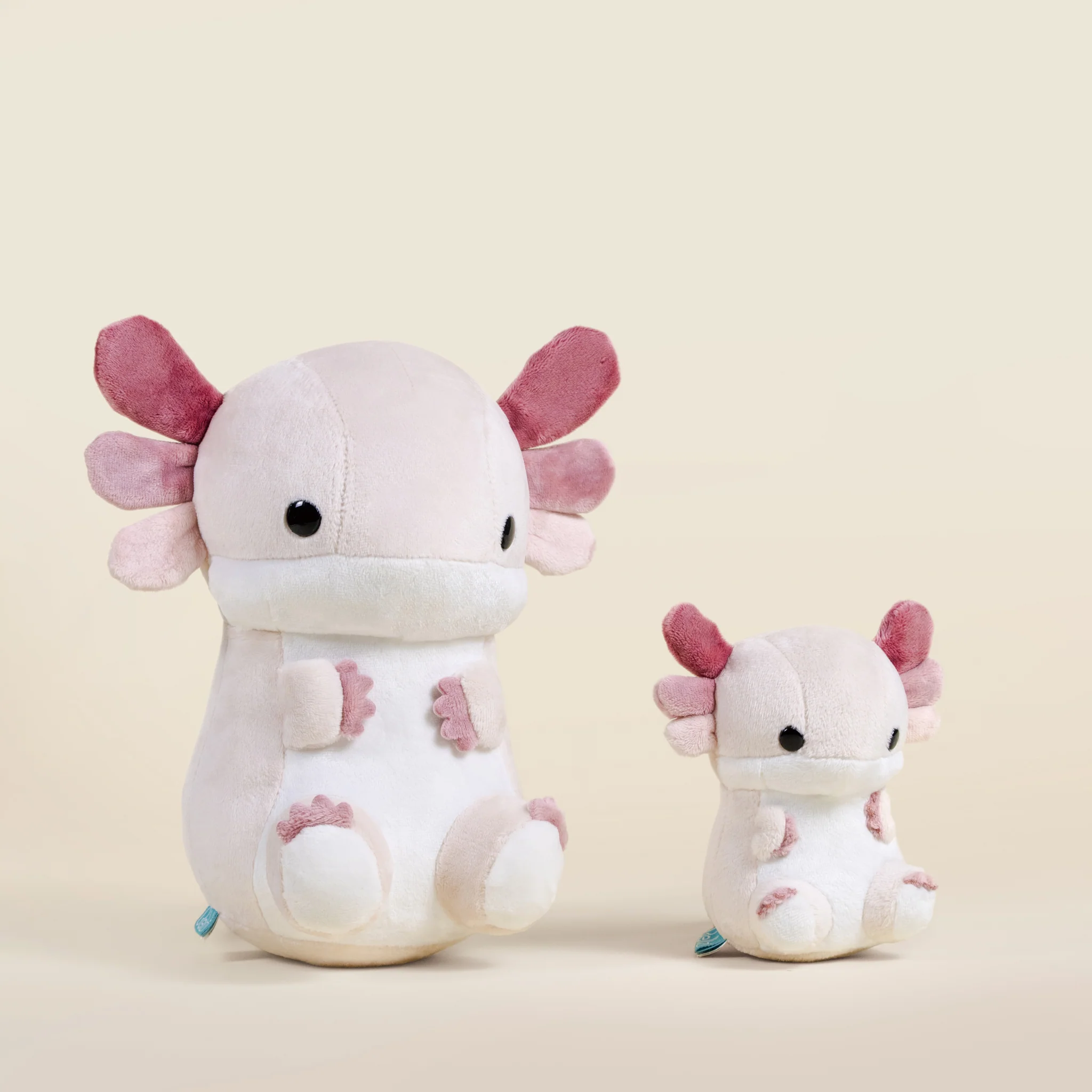 Lotti the Axolotl - Image 12