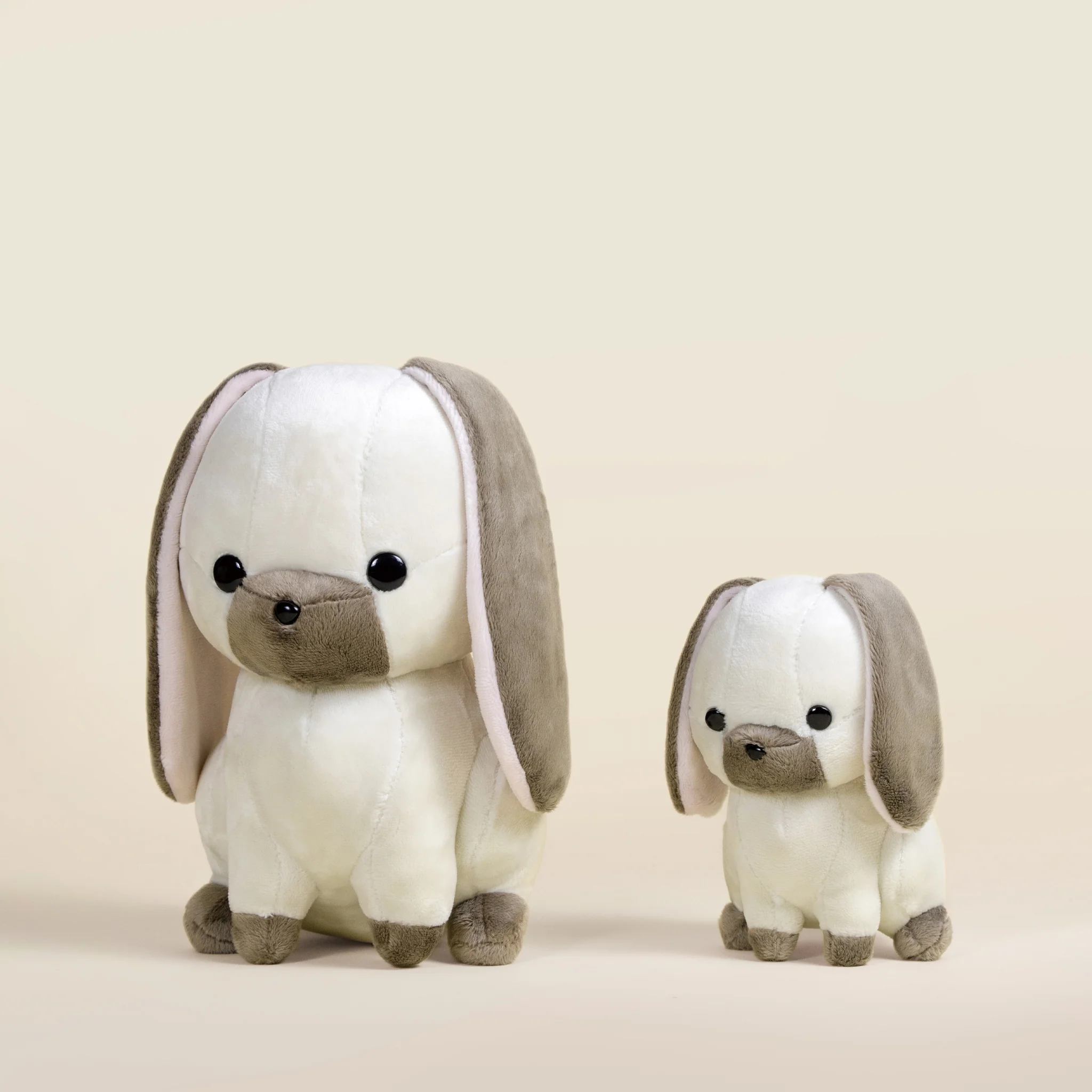 Mini Lop Bunni the Lop Rabbit - Image 10