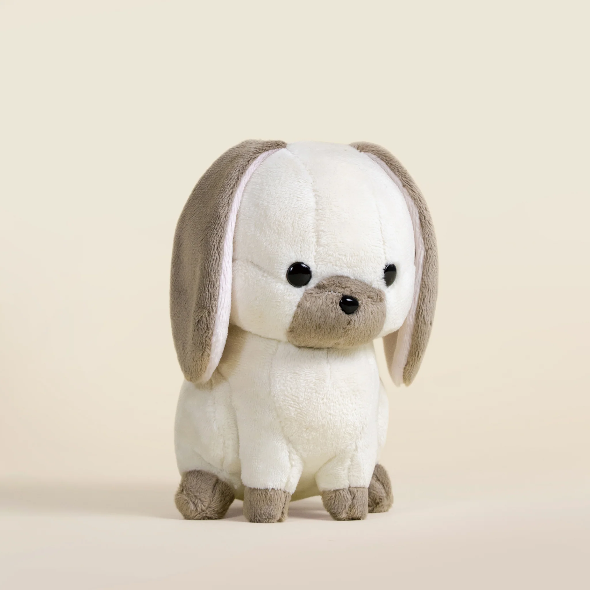 Mini Lop Bunni the Lop Rabbit - Image 3