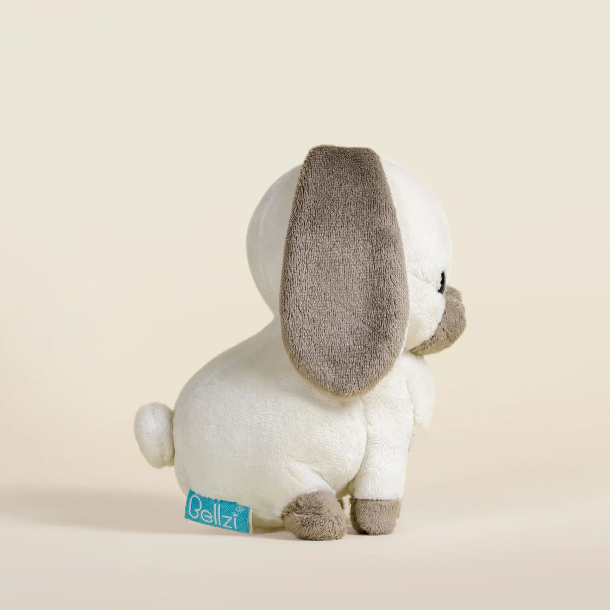 Mini Lop Bunni the Lop Rabbit - Image 4