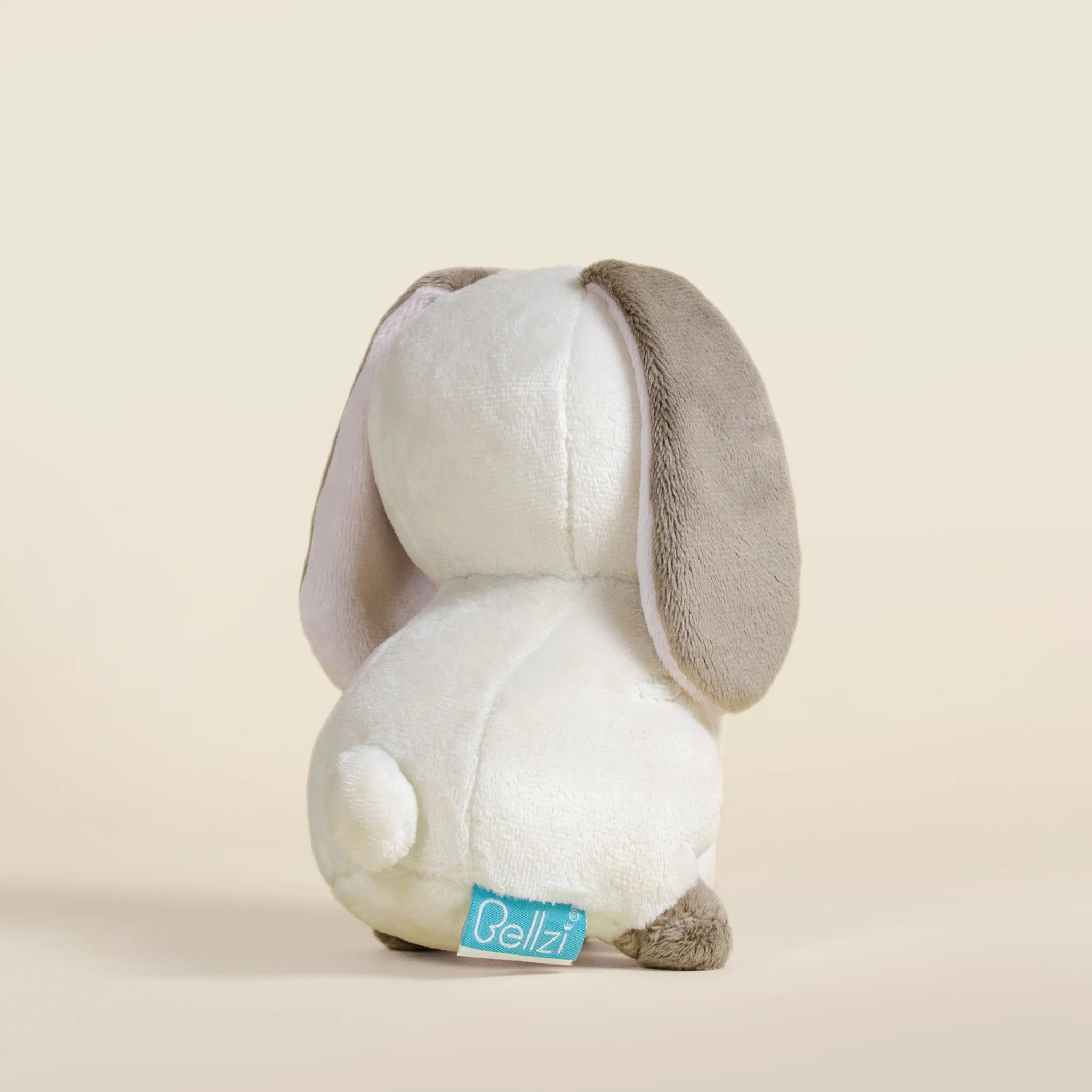 Mini Lop Bunni the Lop Rabbit - Image 5