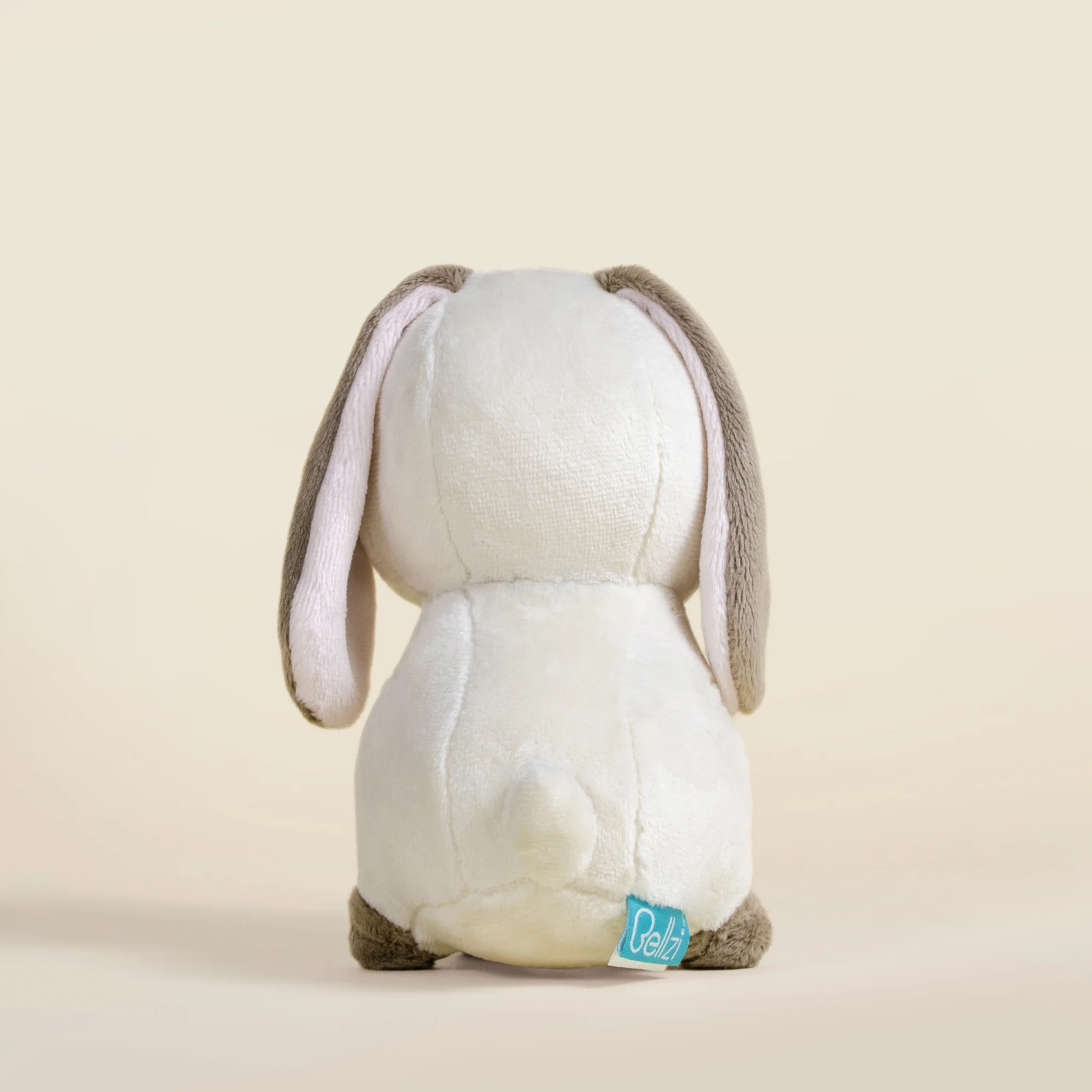 Mini Lop Bunni the Lop Rabbit - Image 6