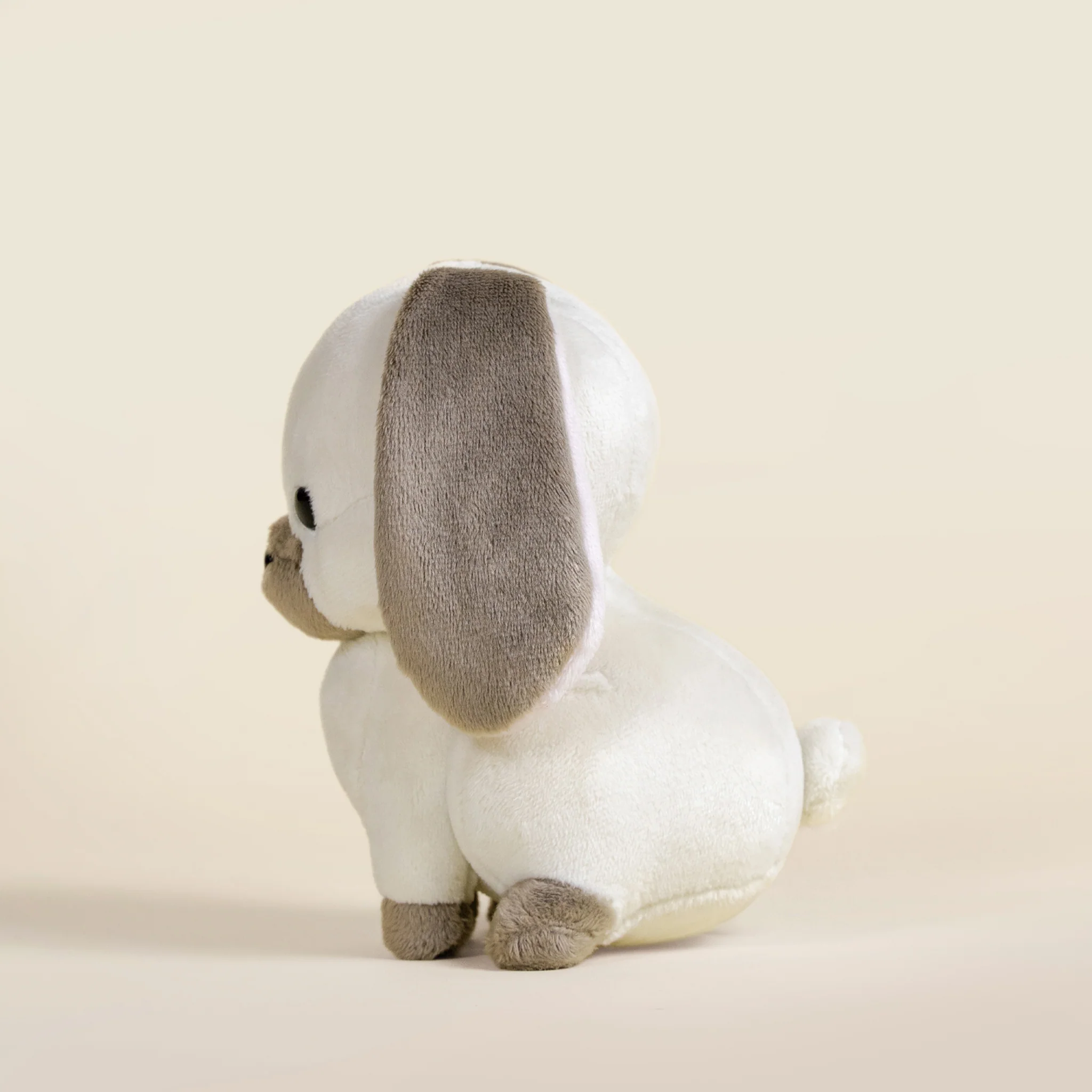 Mini Lop Bunni the Lop Rabbit - Image 7