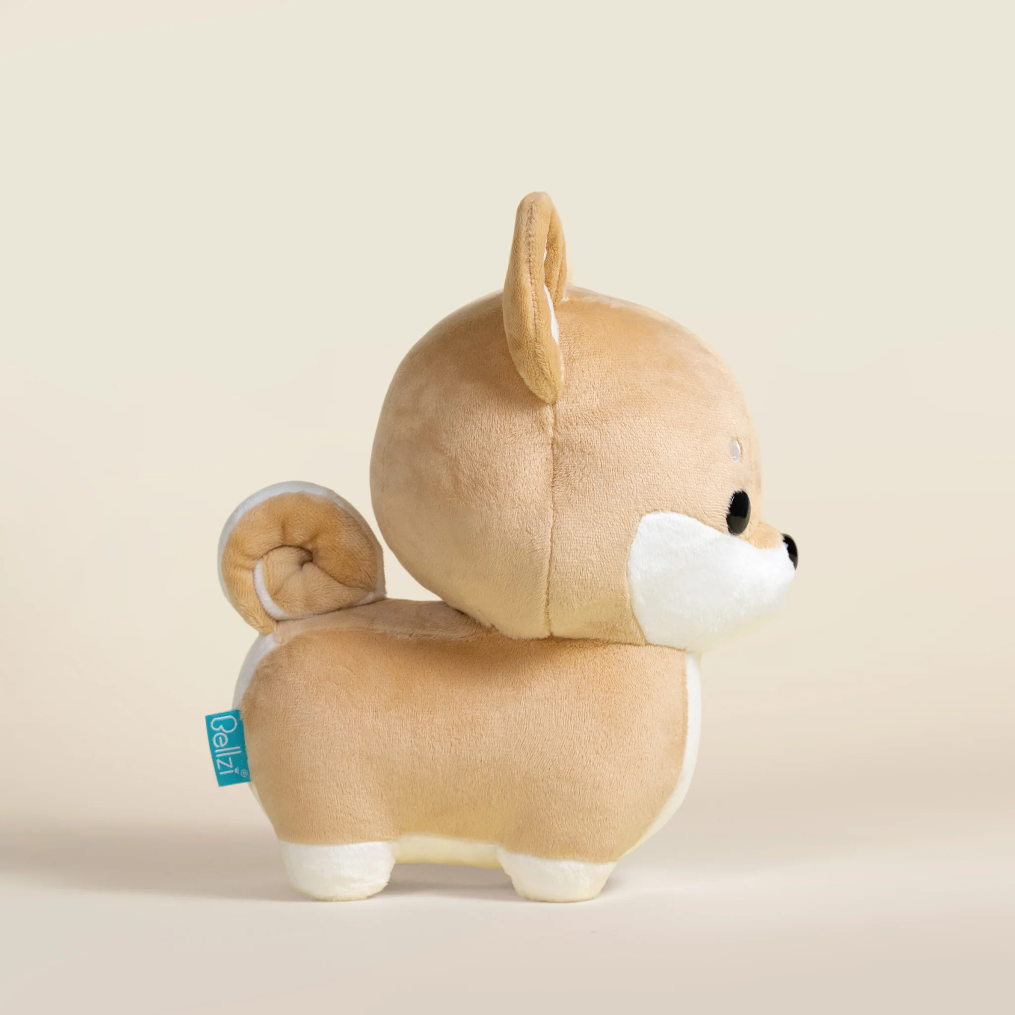 Shibi the Shiba Inu - Image 4