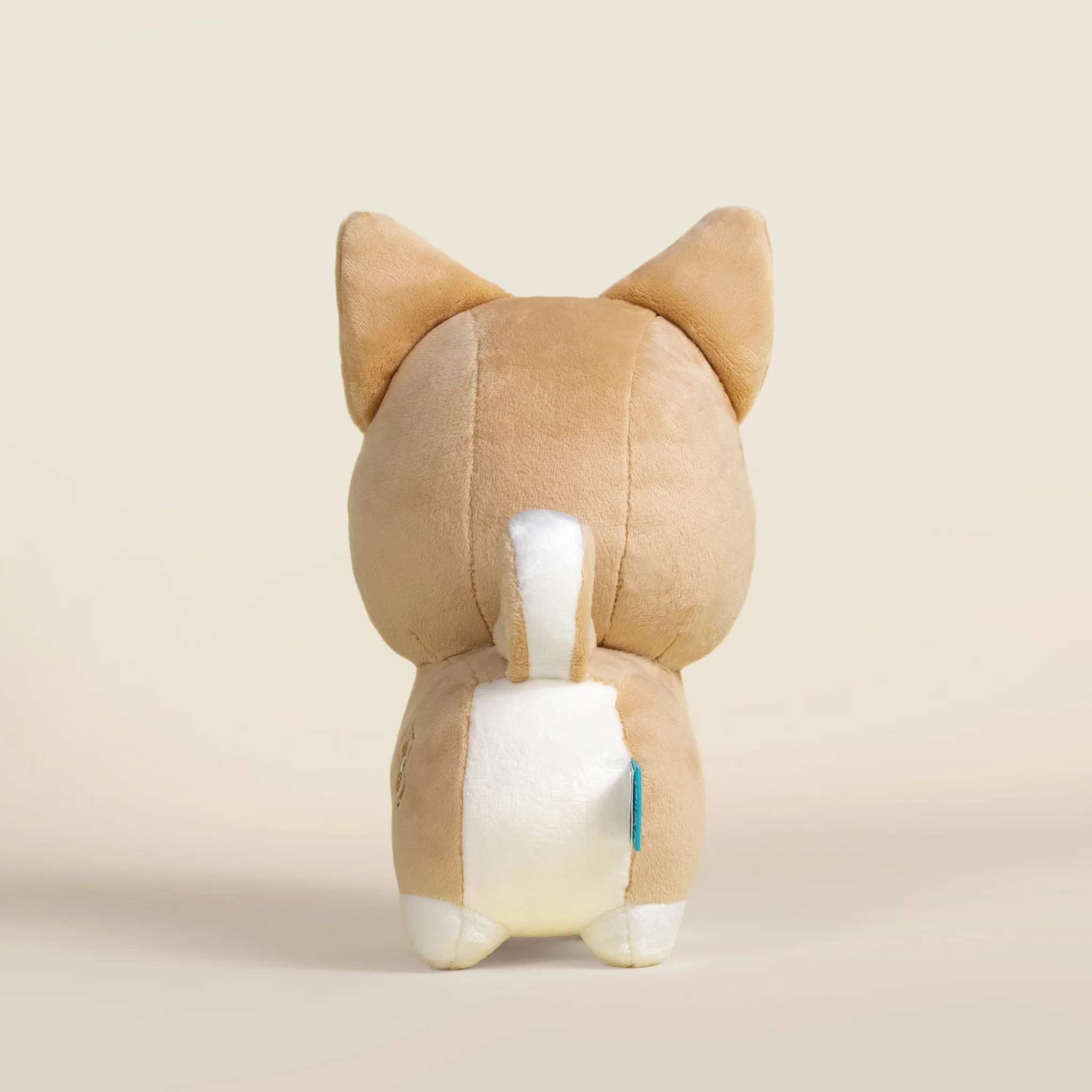 Shibi the Shiba Inu - Image 6