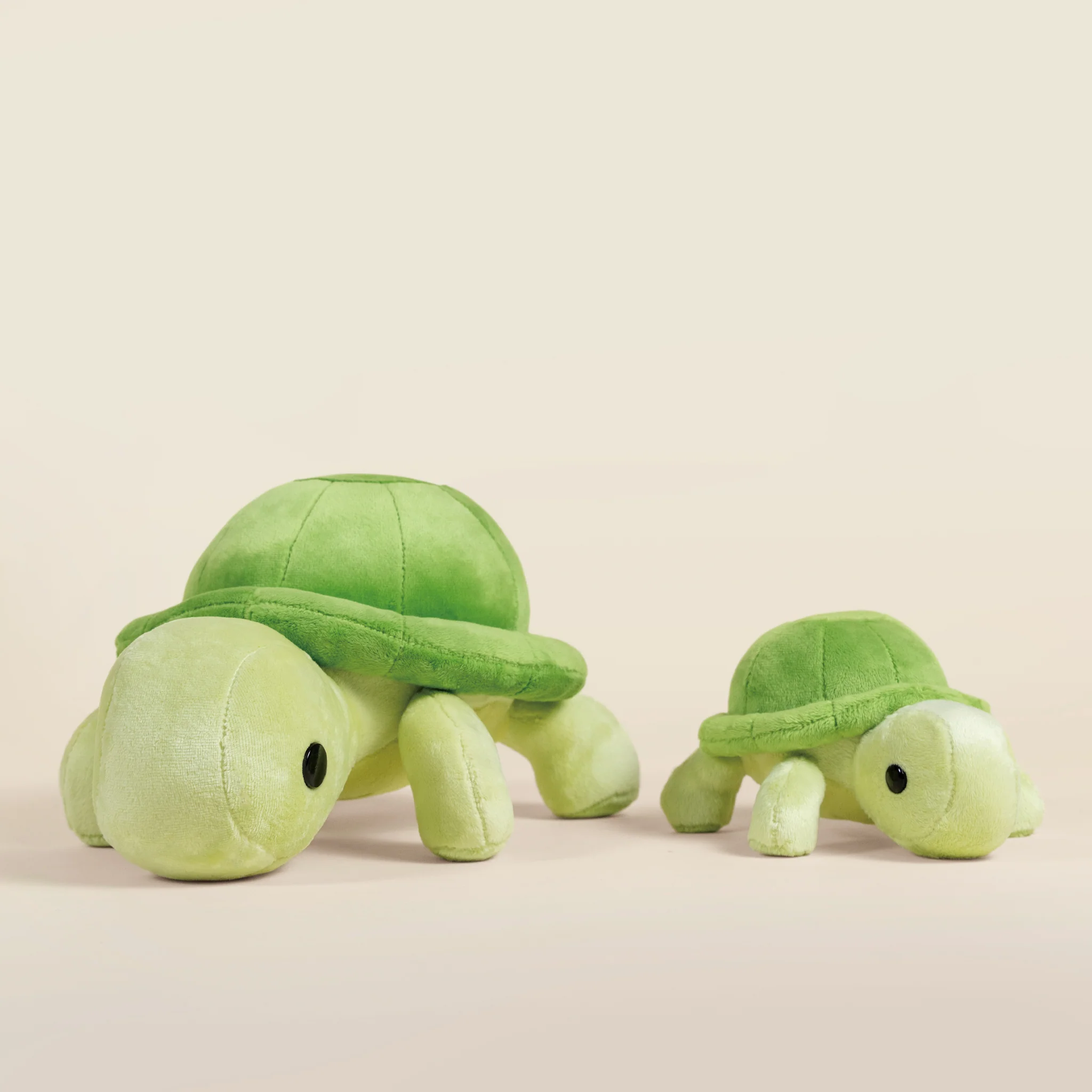 Torti the Tortoise - Image 10