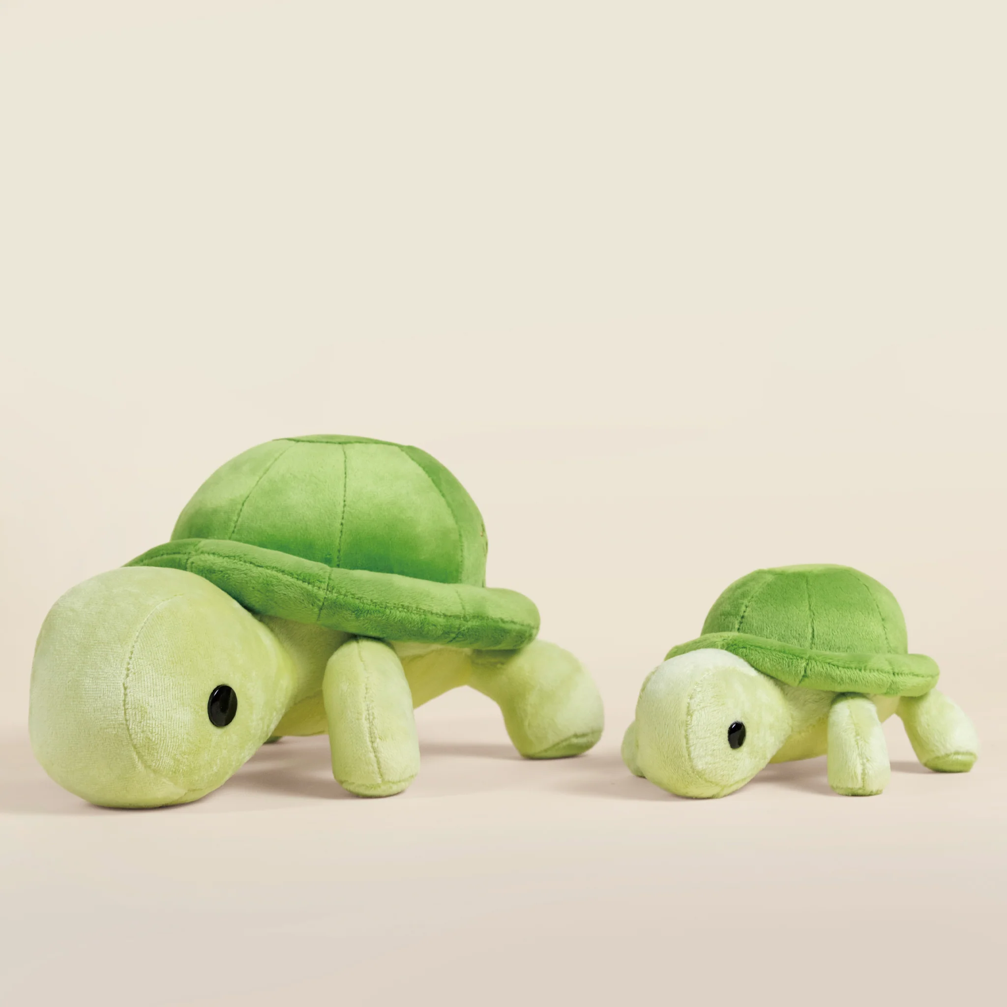 Torti the Tortoise - Image 11