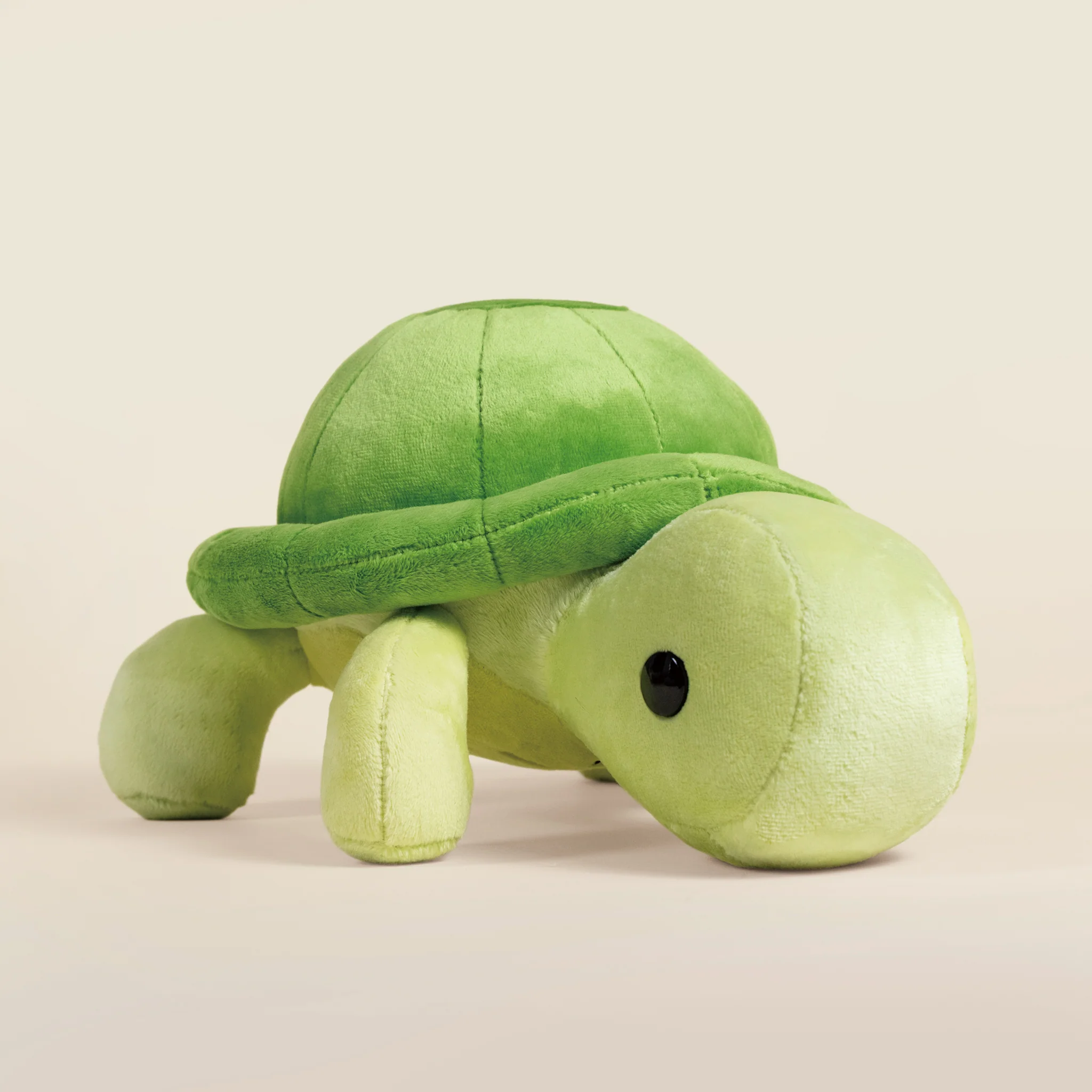 Torti the Tortoise - Image 3