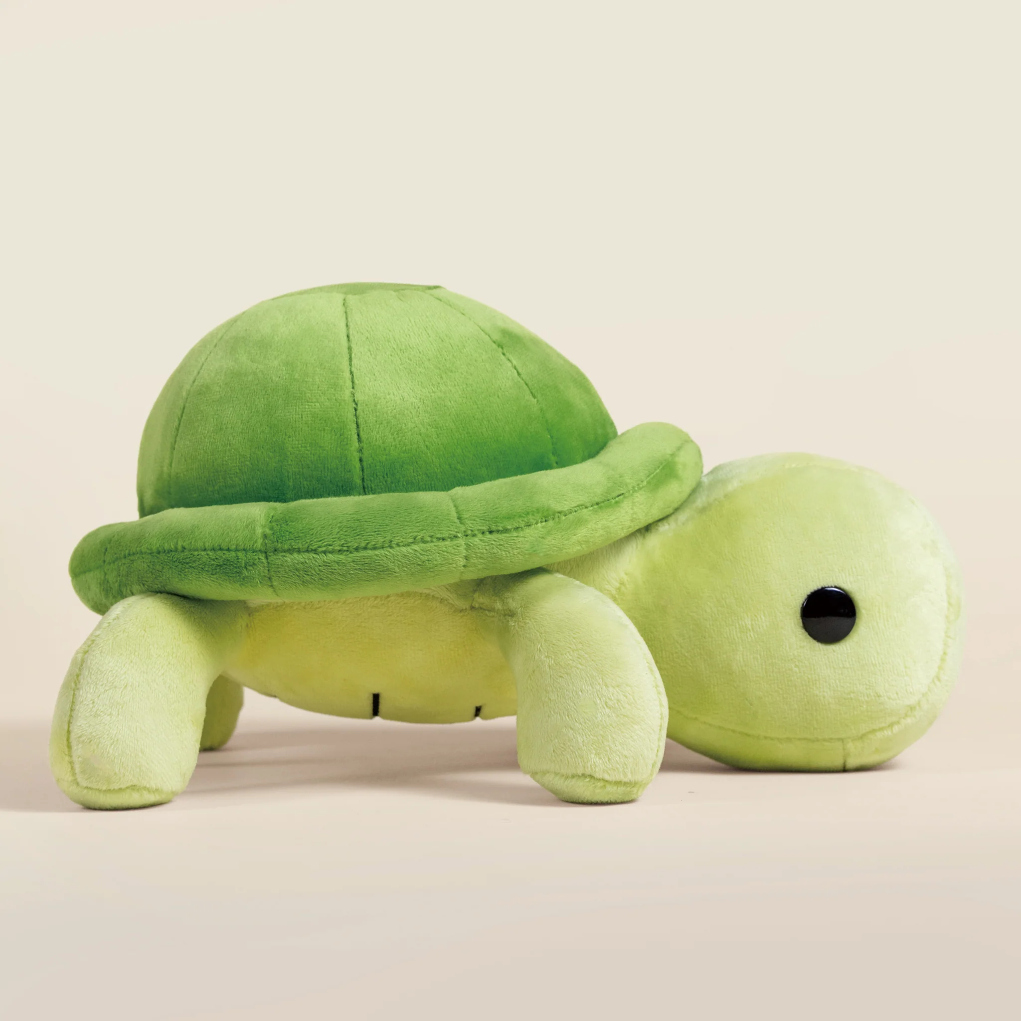 Torti the Tortoise - Image 4