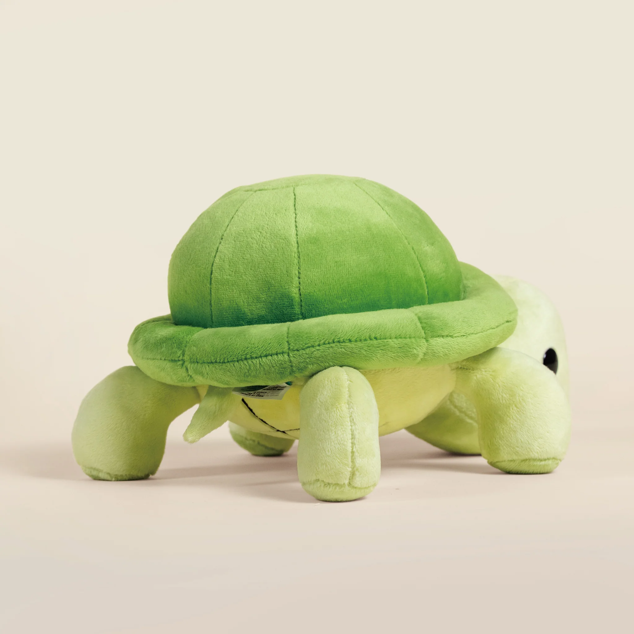 Torti the Tortoise - Image 5