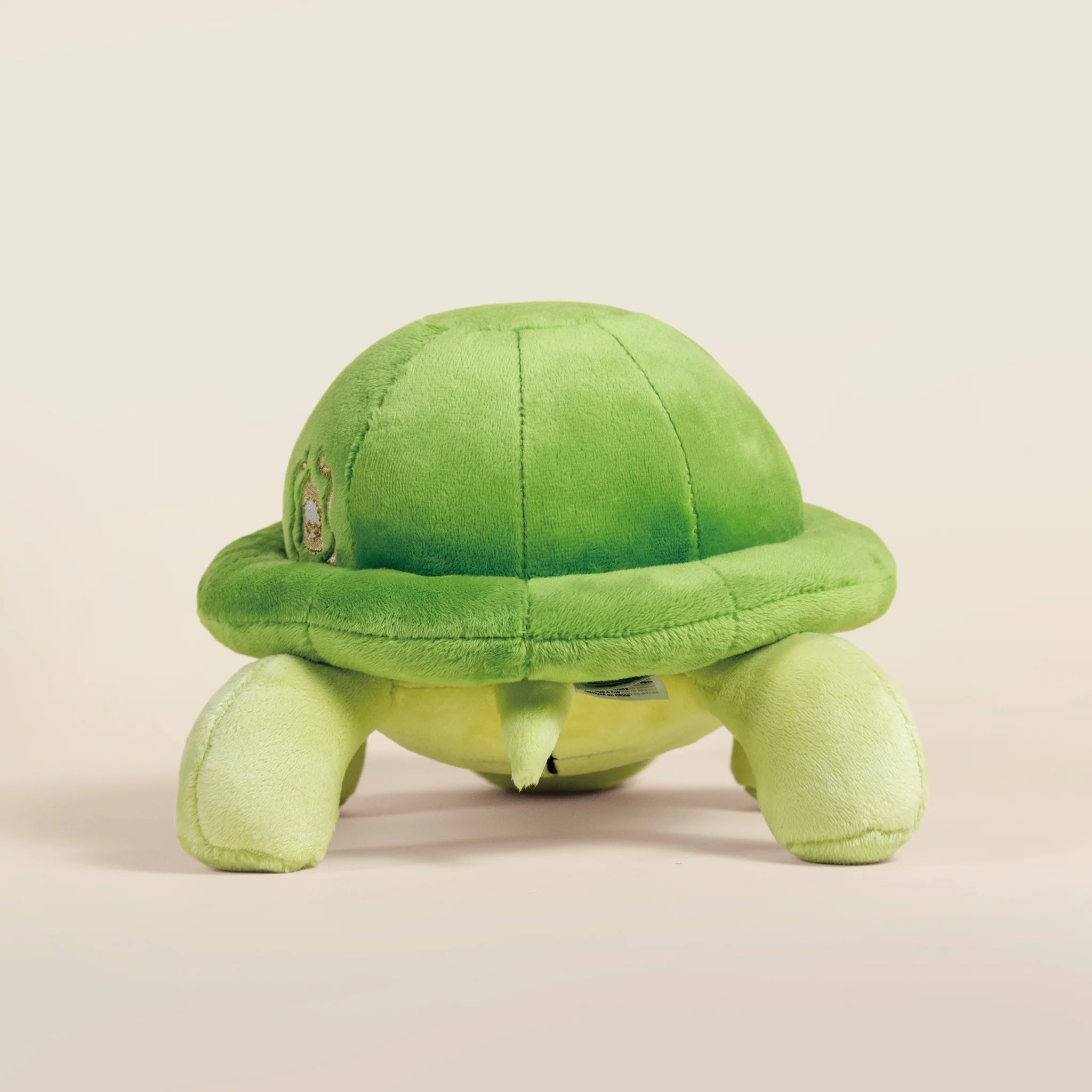 Torti the Tortoise - Image 6