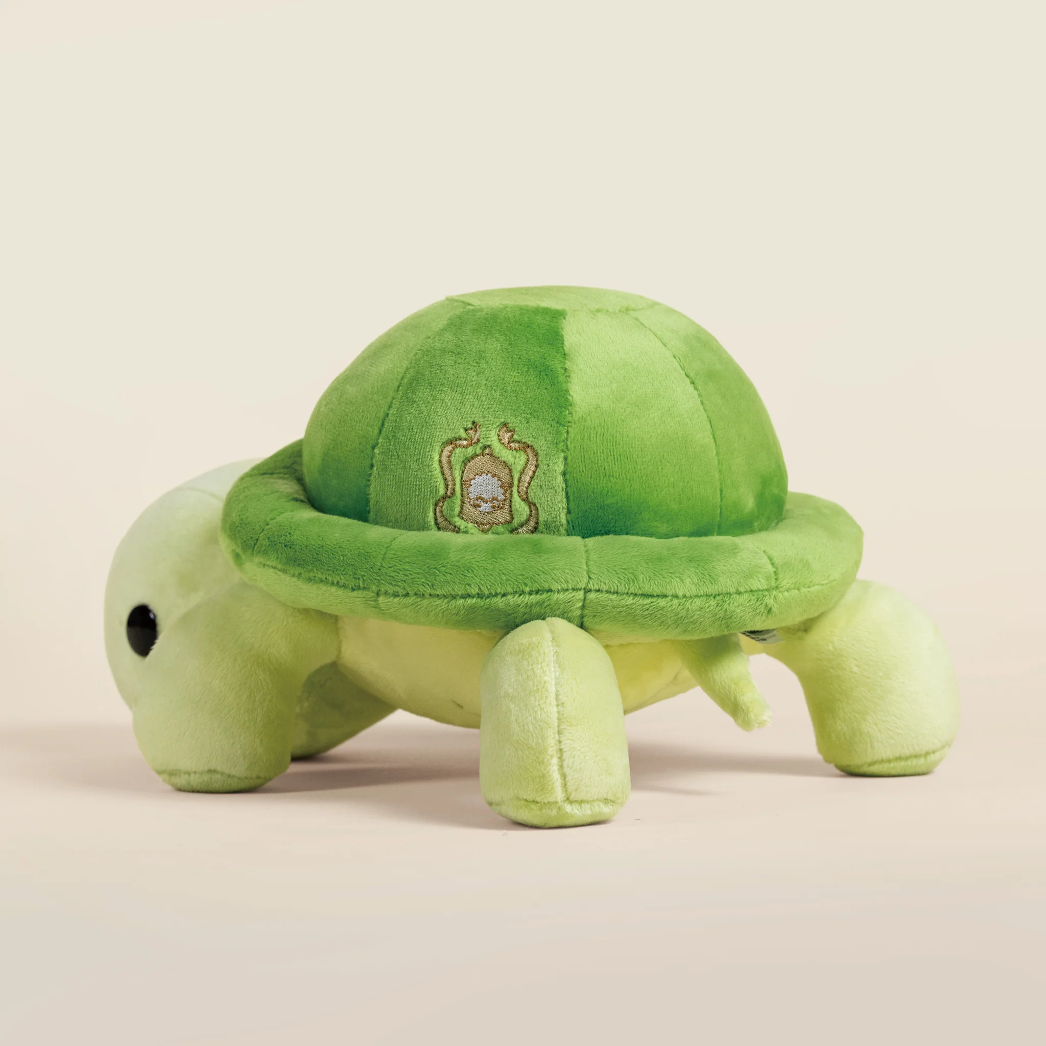 Torti the Tortoise - Image 7