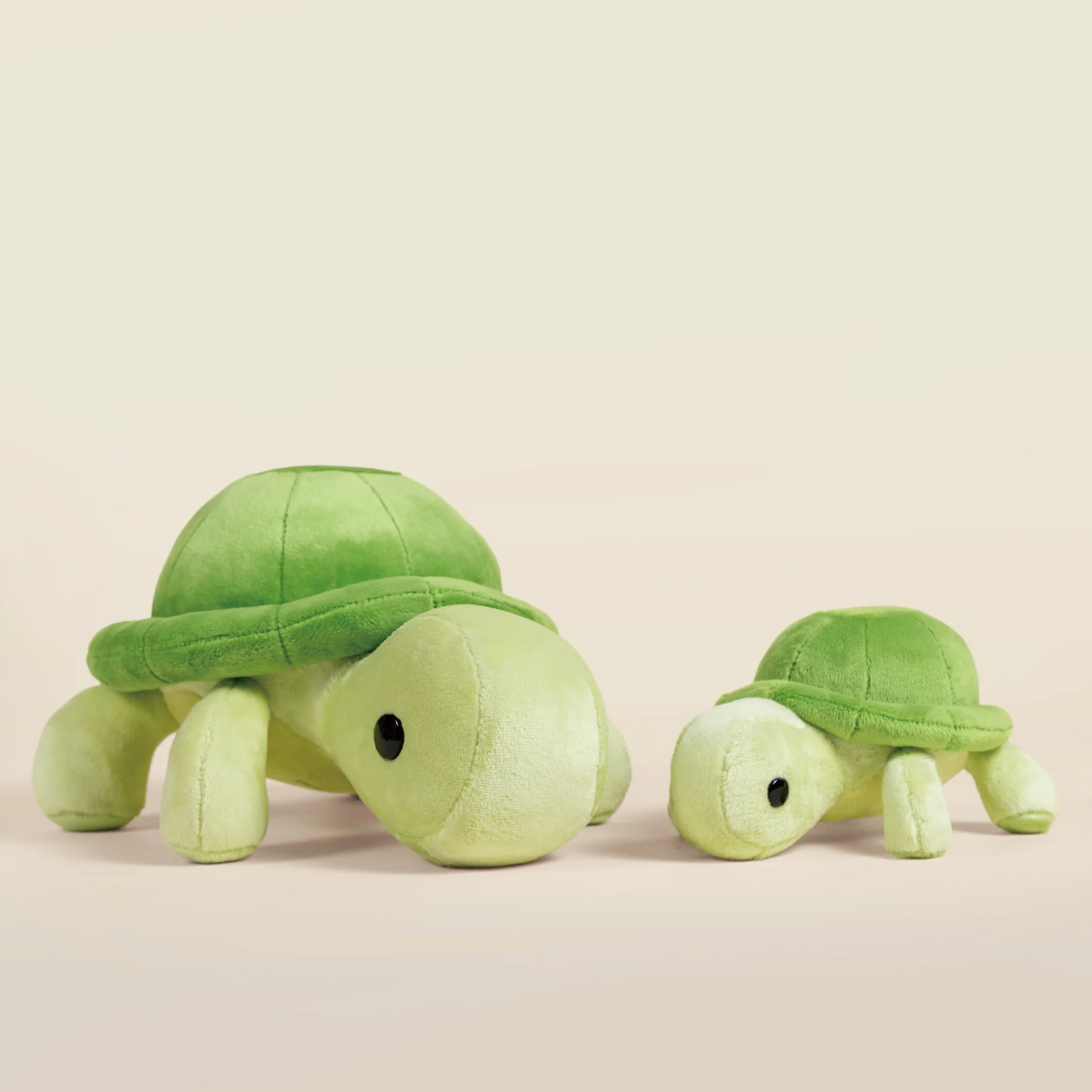 Torti the Tortoise - Image 9