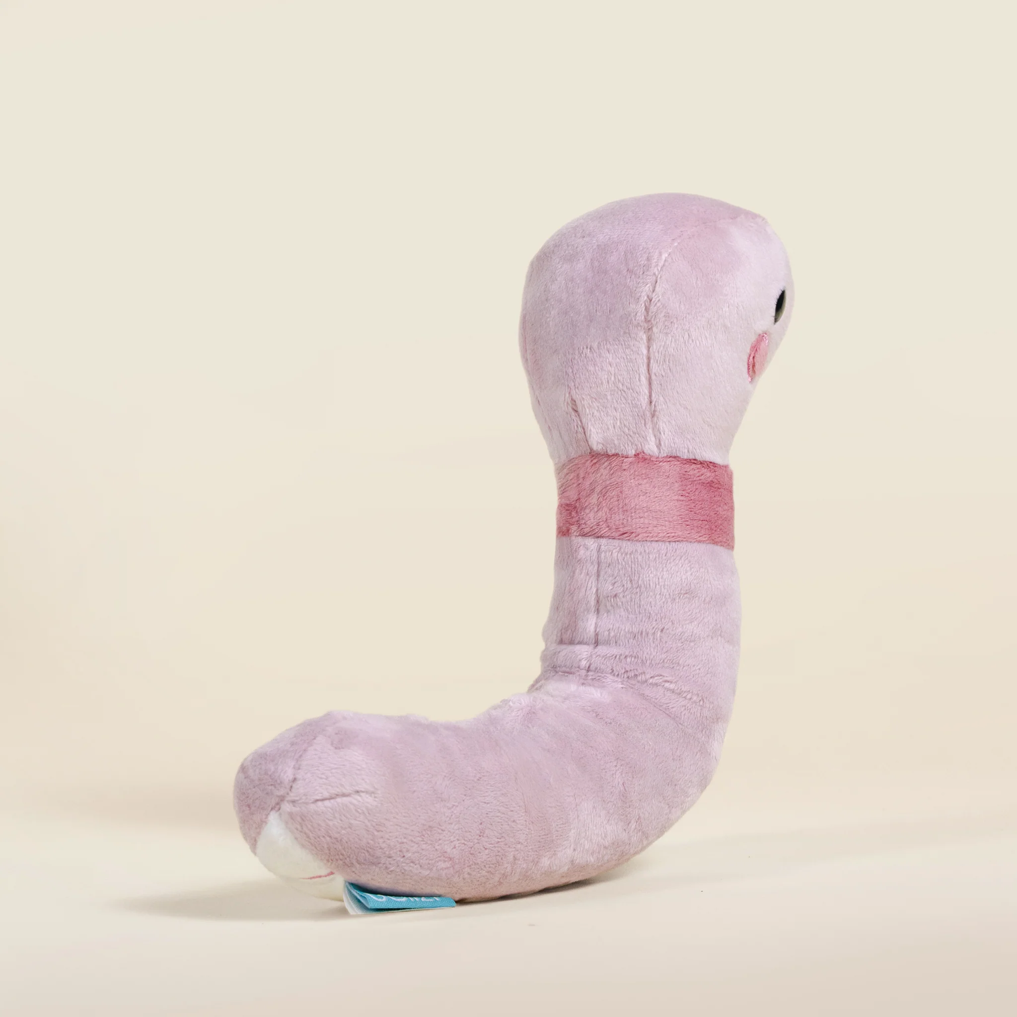 Wormi the Worm - Image 5